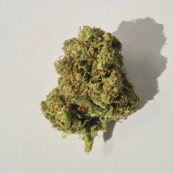 Super amnesia formule explosive